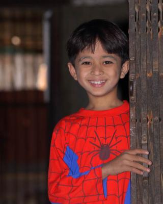 Burmese Spiderman