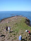 Giants Causeway (Co. Antrim)