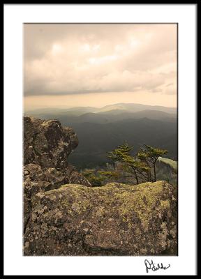 Roan Mountain Summit