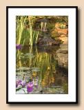 Evening Pond Reflections