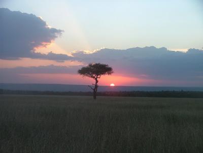 u45/pinicola/medium/34660460.006sunset.jpg