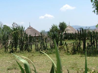 u45/pinicola/medium/34660494.041RoundHouses.jpg