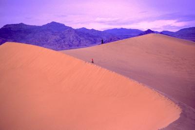 Mesquite Sand dune II