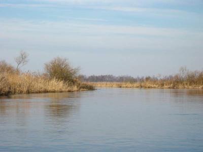 129-2999_IMG.JPG