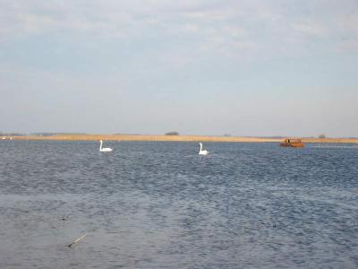 130-3002_IMG.JPG