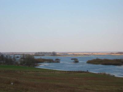 130-3015_IMG.JPG