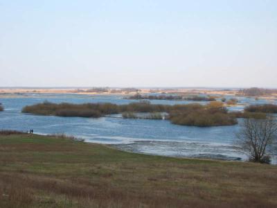 130-3016_IMG.JPG