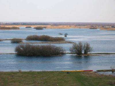 Biebrza (wiosna)