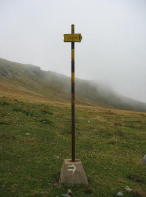 116-1692_IMG.jpg