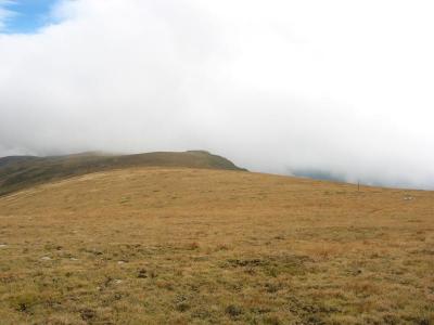 116-1694_IMG.jpg