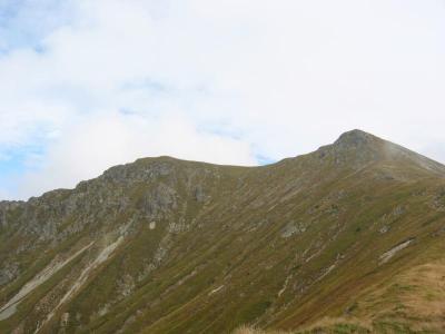 116-1696_IMG.jpg