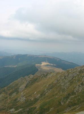 116-1698_IMG.jpg