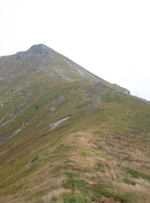 116-1699_IMG.jpg