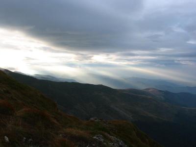 117-1704_IMG.jpg