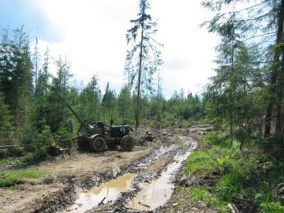 113-1400_IMG.jpg