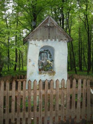 Leśna kapliczka nad Dobrą(134-3458_IMG.JPG)