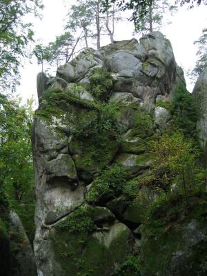 W rezerwacie skalnym Bubniszcze(143-4351_IMG.JPG)