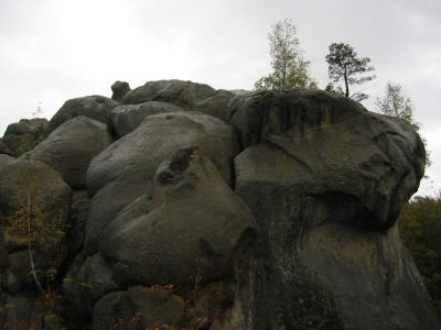 W rezerwacie skalnym Bubniszcze(143-4357_IMG.JPG)