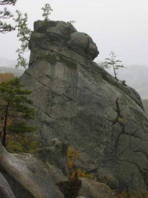 W rezerwacie skalnym Bubniszcze(143-4358_IMG.JPG)