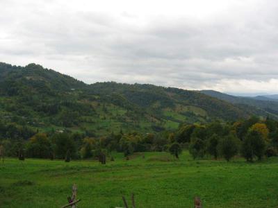 Dolina Jamielnicy(143-4380_IMG.JPG)