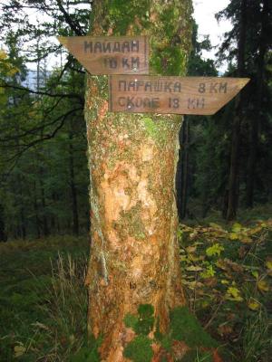 Drogowskaz ukr. szlaku pod Krzywym Wierchem (1079)(144-4412_IMG.JPG)
