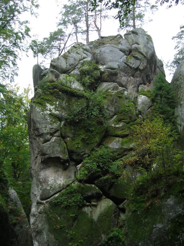 W rezerwacie skalnym Bubniszcze<small>(143-4351_IMG.JPG)</small>
