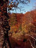 Fall 2004-2