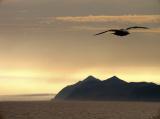 The Ring of Fire, Kamchatka, Russia, 2002