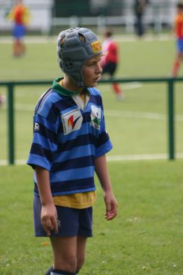 IMG_0785001.jpg