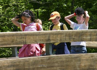 u45/pstewart/medium/29429838.fieldtrip1.jpg