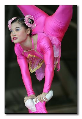 u45/r53lanc/medium/29262421.Acrobat1a.jpg
