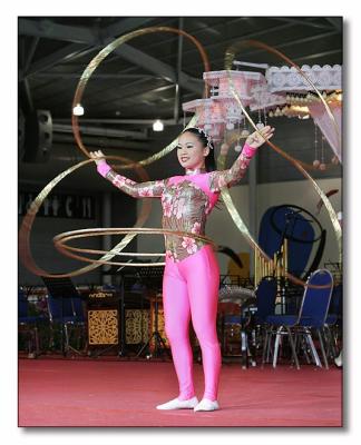 u45/r53lanc/medium/29452422.Acrobat17a.jpg