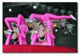 Singapore Acrobat Troupe