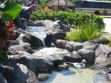 water pond