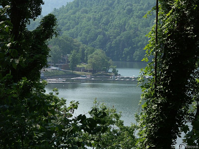 View of the lake from the parking lot