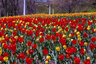 2004.05.06.4.jpg