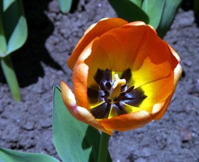 2004.05.06.6.jpg