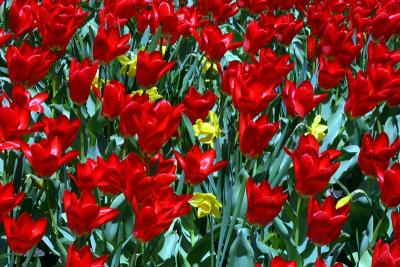 2004.05.06.7.jpg