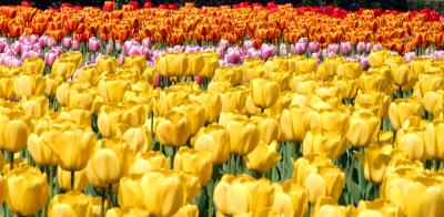 2004.05.11.14.jpg