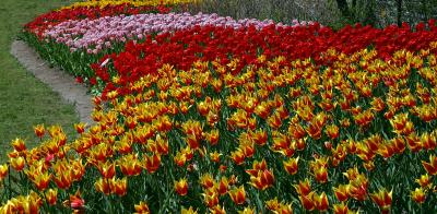 2004.05.11.7.jpg