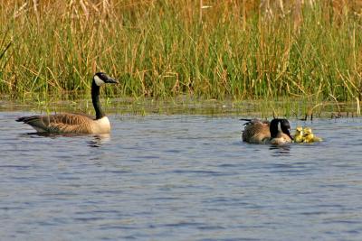 IMG_2420.jpg