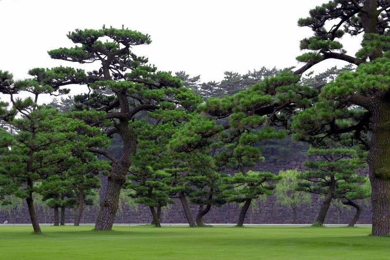 Imperial Palace Grounds, Tokyo