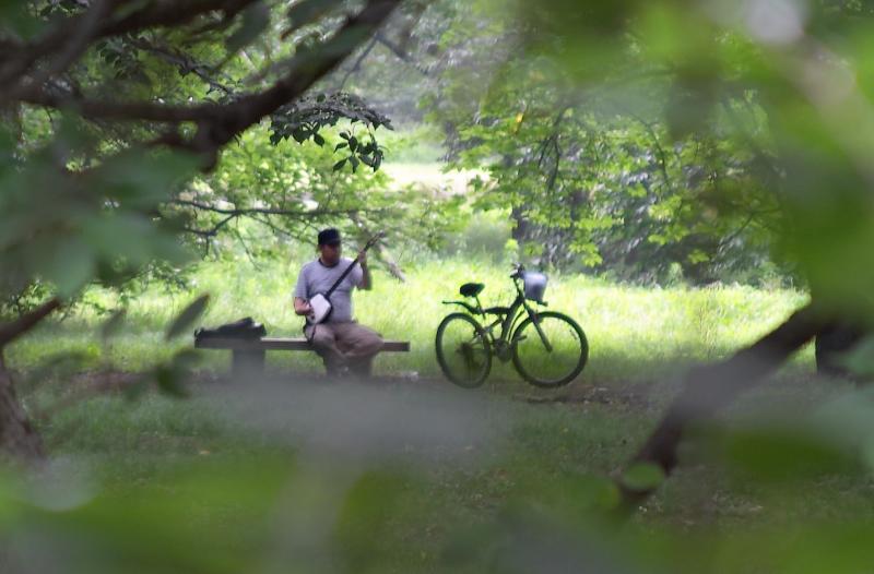 Koganei Park, Tokyo
