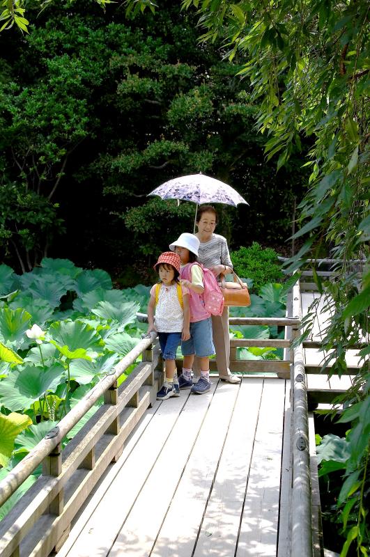 Kurakuen Garden, Okayama
