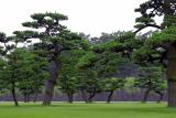 Imperial Palace Grounds, Tokyo
