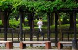 Koganei Park, Tokyo