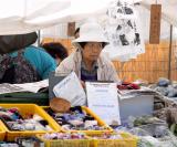 Takayama Jinya Morning Market