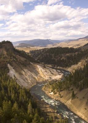 Grand Canyon of the Yellowstone at Calcite Springs Overlook