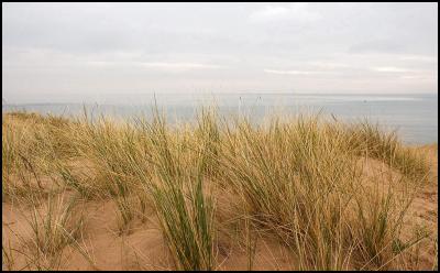 Dunes, Exmouth