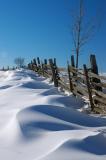 Cedar snow fence.jpg